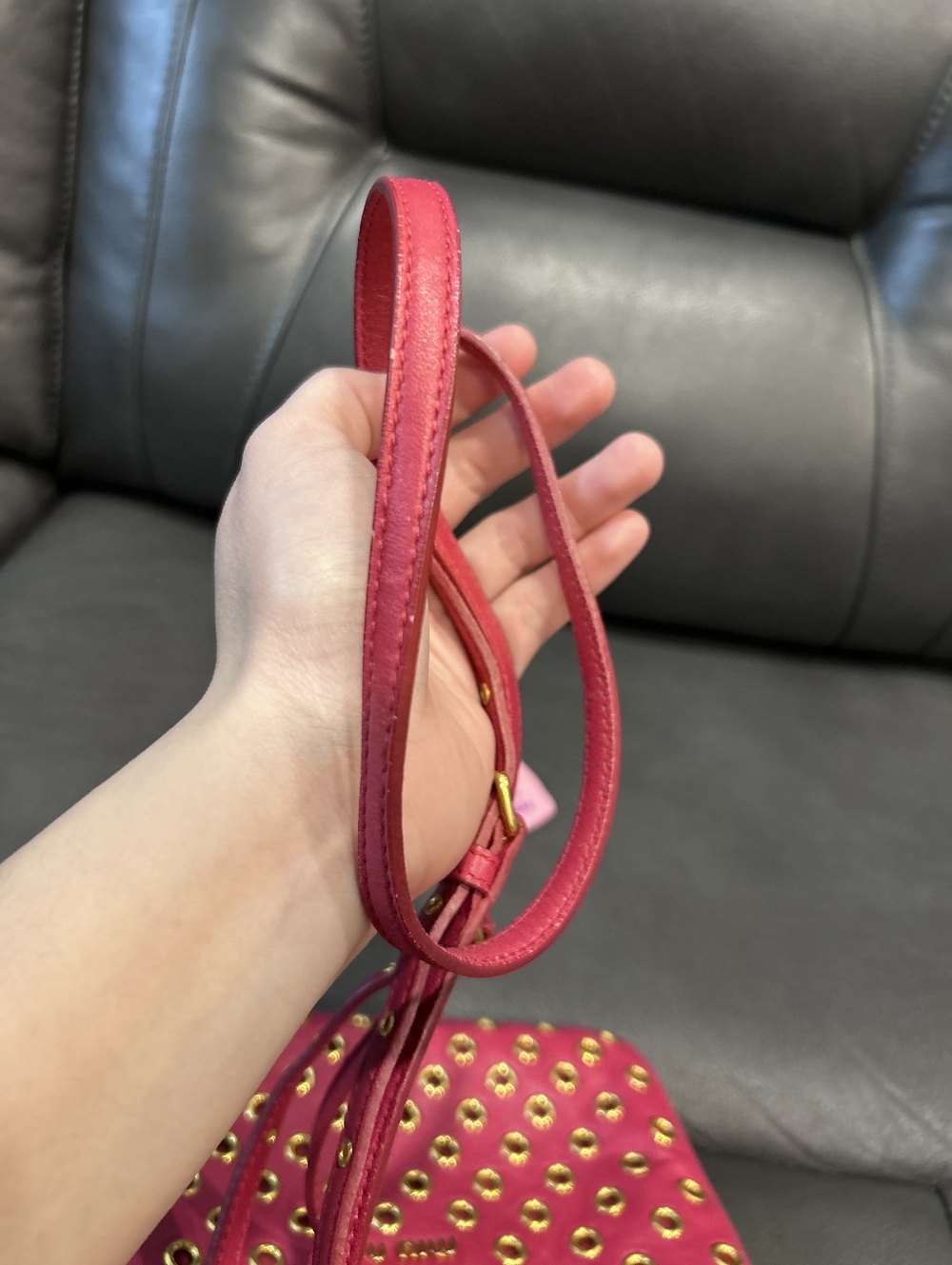 MiuMiu Crossbody - Picture 4 of 16